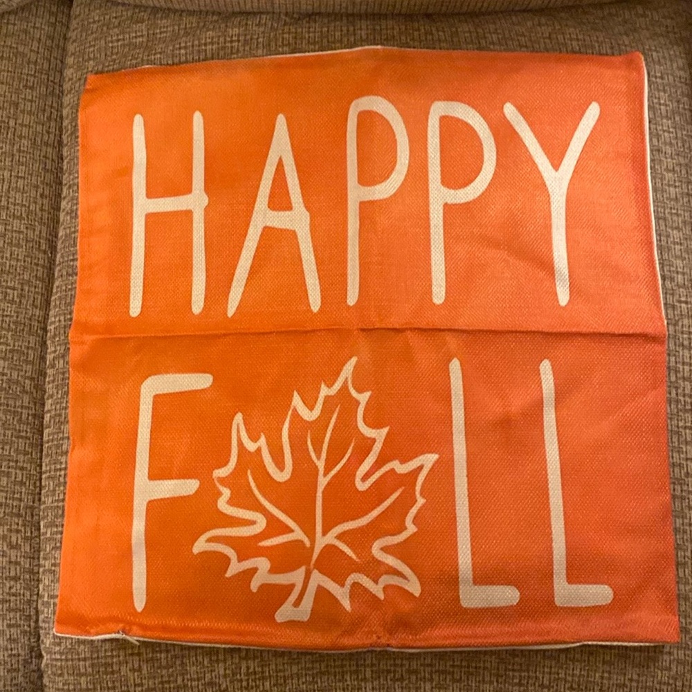 Nwot Pillow Cover